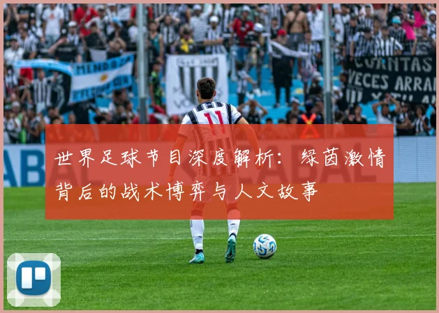 世界足球节目深度解析：绿茵激情背后的战术博弈与人文故事