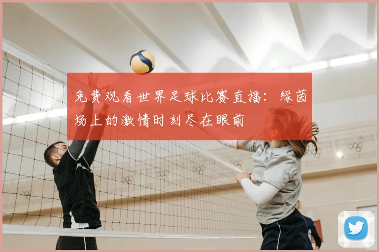 免费观看世界足球比赛直播：绿茵场上的激情时刻尽在眼前